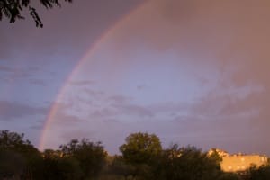 Cesano di Roma — Foto dal sito — foto 517