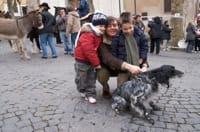 Cesano di Roma — Foto dal sito — foto 520