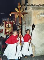 Cesano di Roma — Foto dal sito — foto 539