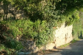 Cesano di Roma — Foto dal sito — foto 628