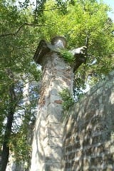 Cesano di Roma — Foto dal sito — foto 629