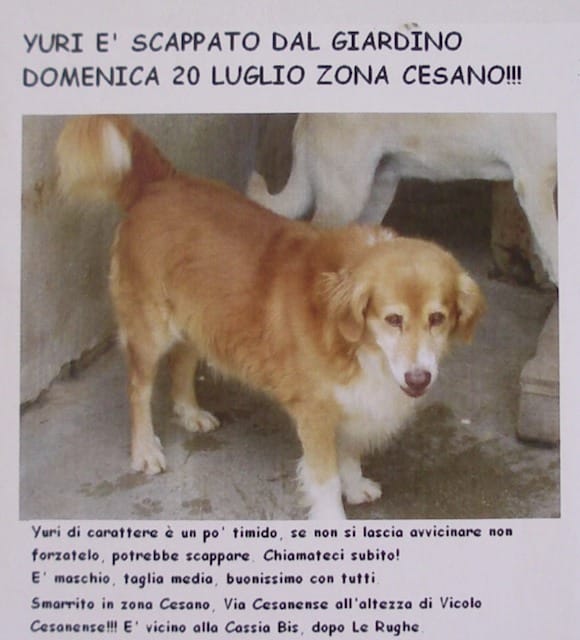 Cesano di Roma — Foto dal sito — foto 649