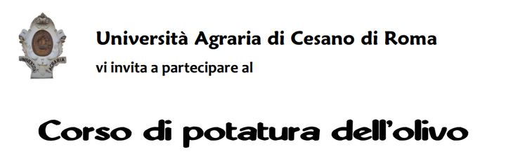 L'olivo: imparare a potarlo