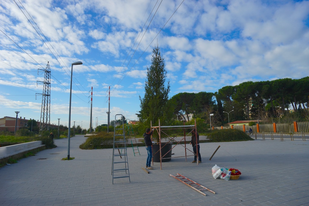 Allestimento dell'albero di Natale di Piazza Antonio Basso