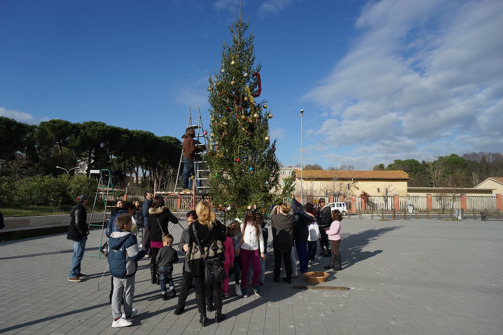 Allestimento dell'albero di Natale di Piazza Antonio Basso