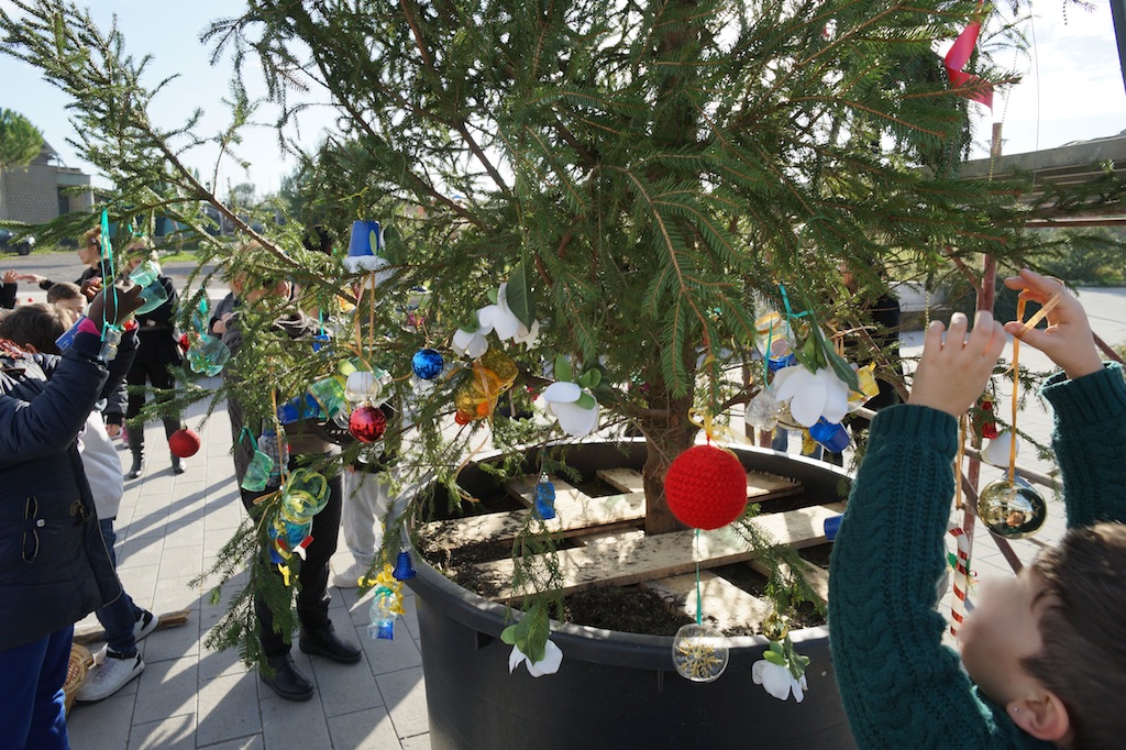 Allestimento dell'albero di Natale di Piazza Antonio Basso