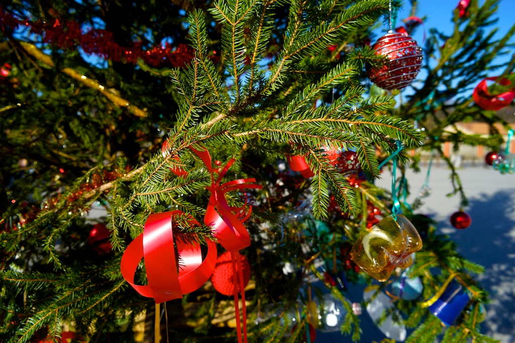 Allestimento dell'albero di Natale di Piazza Antonio Basso