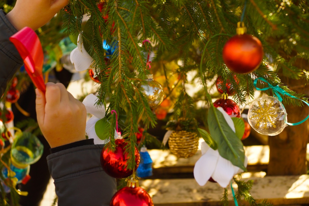 Allestimento dell'albero di Natale di Piazza Antonio Basso