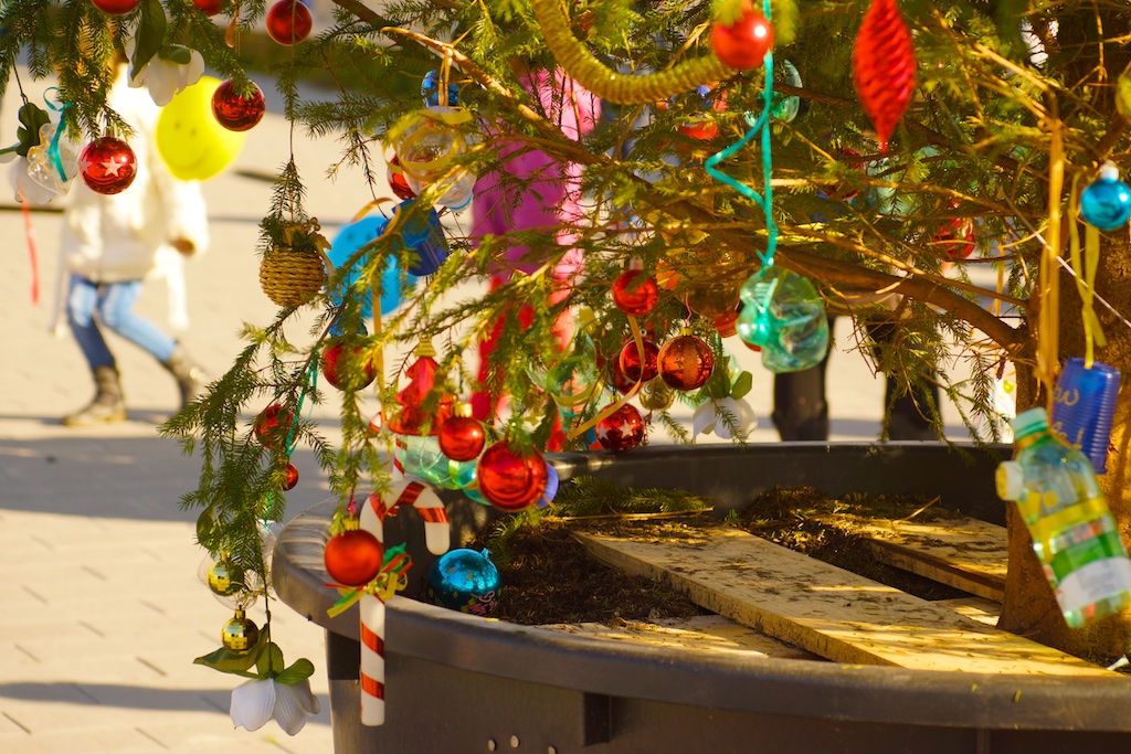 Allestimento dell'albero di Natale di Piazza Antonio Basso