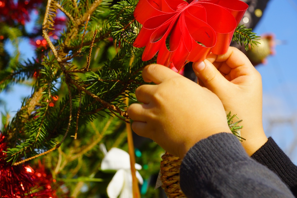 Allestimento dell'albero di Natale di Piazza Antonio Basso