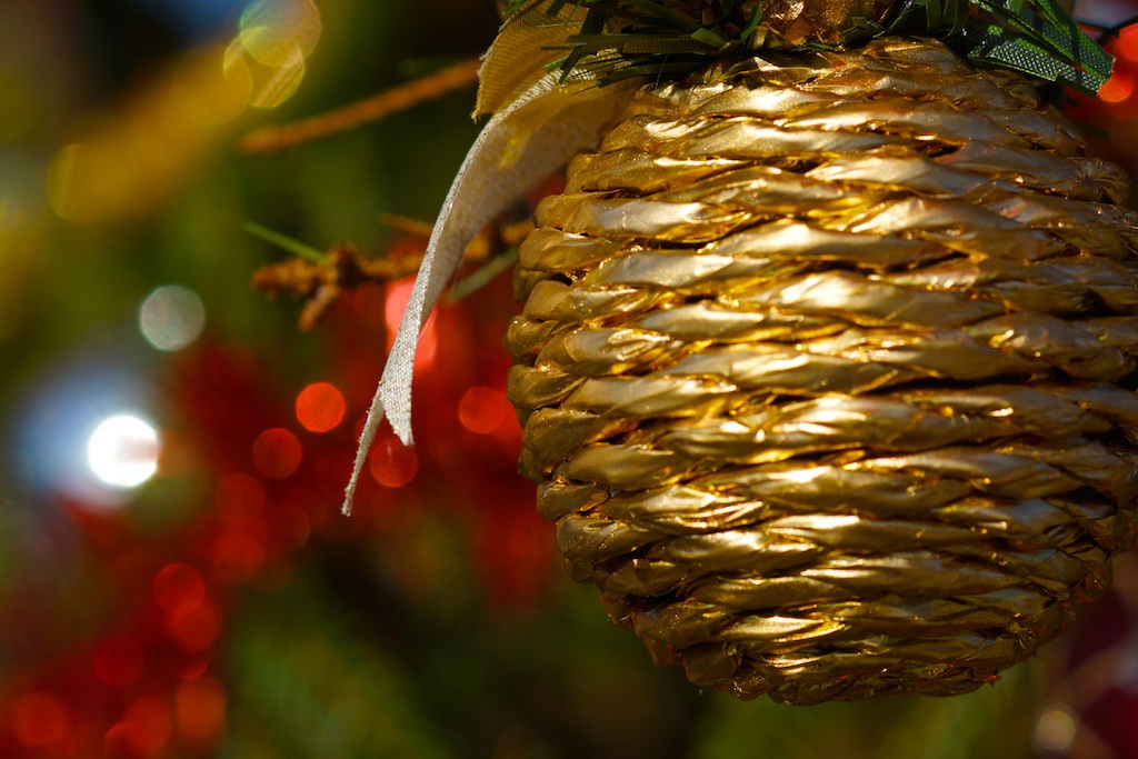 Allestimento dell'albero di Natale di Piazza Antonio Basso