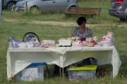 DSC08770.jpg