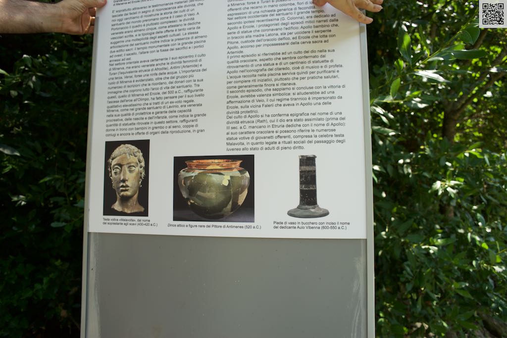 DSC06069