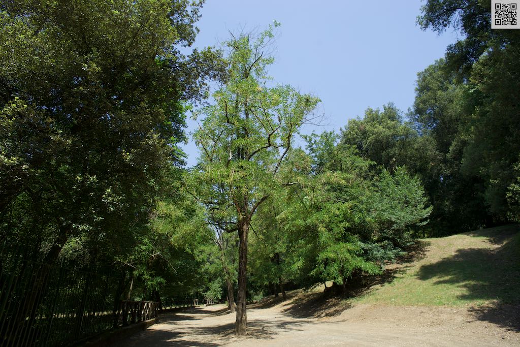 DSC06108