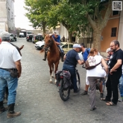 In cammino da Cesano al Sorbo