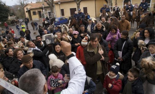 18 gennaio: benedizione degli animali