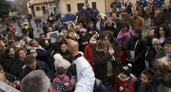 18 gennaio: benedizione degli animali