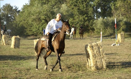 Marcello Boldrini: buona guarigione!!!