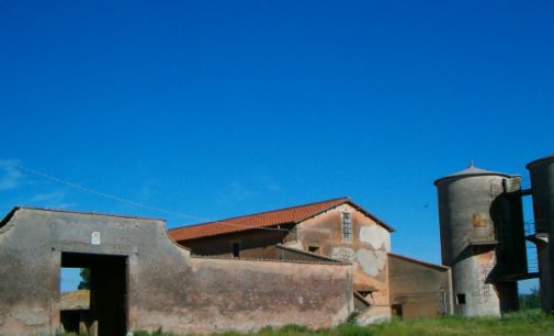 Osteria Nuova. Festa del Primo Maggio alle Aste Taurine