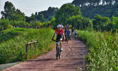 Bonifica ciclabile Ponte Milvio – Castel Giubileo