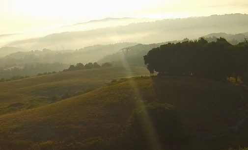 Relizzazione di un sistema integrato di percorsi cicloturistici tra le terre di cesano