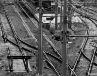 Forti ritardi sulla FL3 da stazione S. Pietro