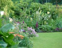 Verde Amaranto – Primo Corso di botanica e giardinaggio a Cesano