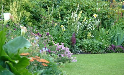 Verde Amaranto – Primo Corso di botanica e giardinaggio a Cesano