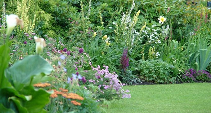 Verde Amaranto – Primo Corso di botanica e giardinaggio a Cesano