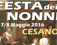 7 e 8 Maggio: i nonni fanno festa!