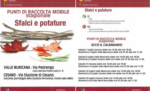 L’AMA a Cesano per le potature e gli sfalci