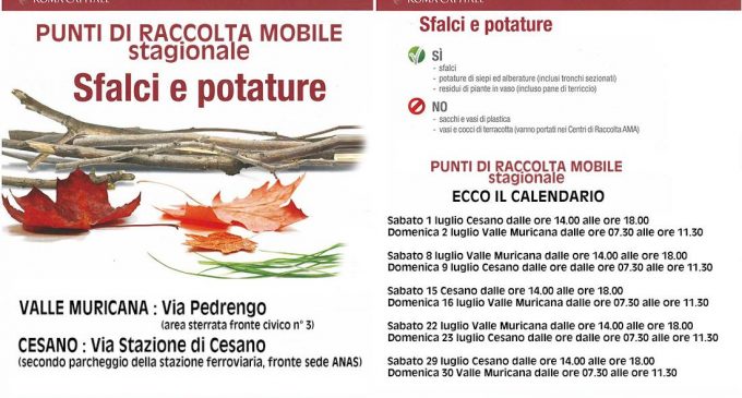 L’AMA a Cesano per le potature e gli sfalci