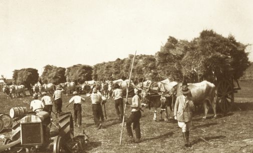 Racconti cesanesi: i Marini