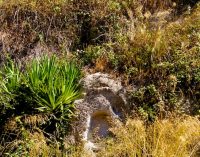 Edicole sacre del territorio cesanese: opportunità e urgenza della loro tutela e valorizzazione