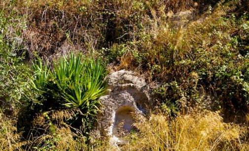 Edicole sacre del territorio cesanese: opportunità e urgenza della loro tutela e valorizzazione