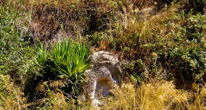 Edicole sacre del territorio cesanese: opportunità e urgenza della loro tutela e valorizzazione