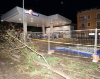 Tornado: ulteriori dettagli per i contributi