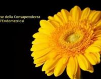 Endometriosi a Cesano: sabato 23 Marzo 2019