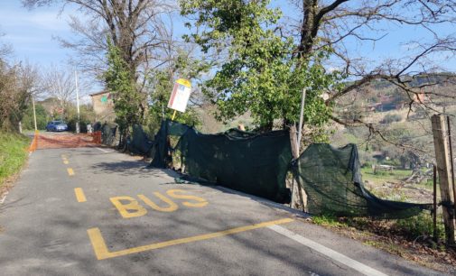 Cesano: ATAC 024 e 036 tra Borgo e Via di Baccanello e vv.