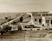 Fortior ex adversis resurgo